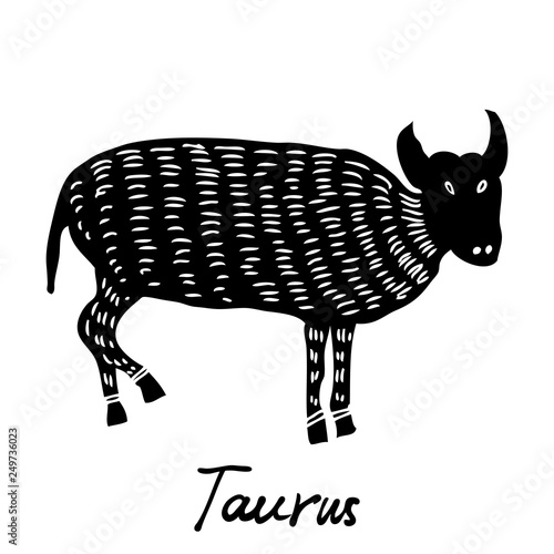 Taurus zodiac hand drawing sign for horoscope. Usable for mystic  occult  palmistry and witchcraft alchemy. Vector.