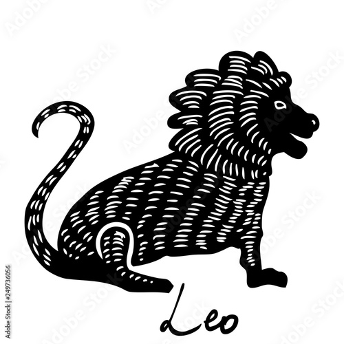 Leo zodiac hand drawing sign for horoscope. Usable for mystic  occult  palmistry and witchcraft alchemy. Vector.