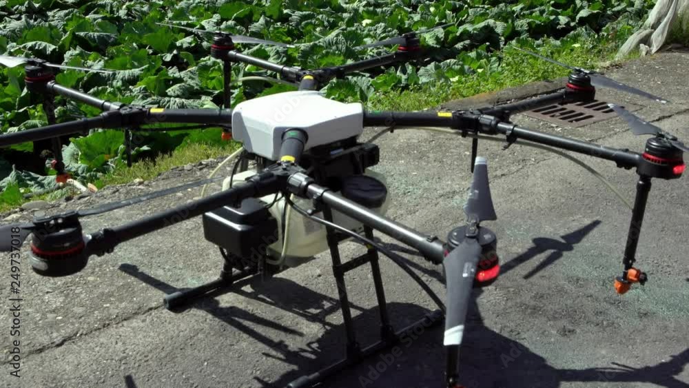 4K, Agriculture drone fly to sprayed fertilizer on the cabbage fields. High technology innovations for increasing productivity in agriculture. Farmer navigating drone above of cabbage farmland.-Dan 4K, Agriculture drone fly to sprayed fertilizer on the cabbage fields. High technology innovations for increasing productivity in agriculture. Farmer navigating drone above of cabbage farmland.-Dan