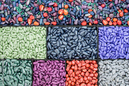 seed sunflower seeds, corn, radishes. painted agro color for sorting and labeling