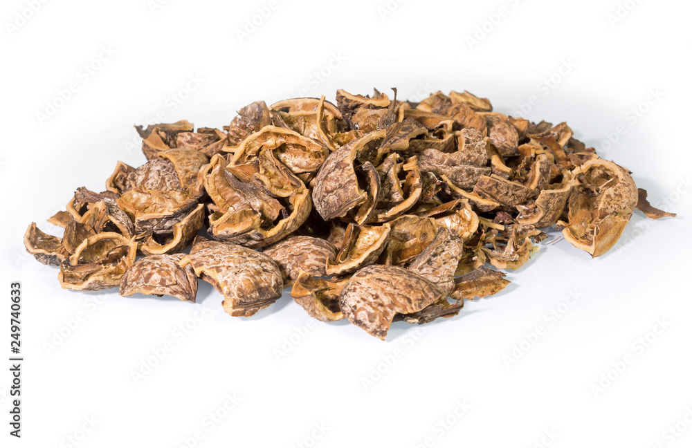 Pile of Walnut shells isolated on white background