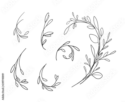 Botanical set illustration on white background 