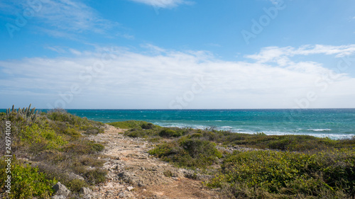 A beautiful day on the walking trails of Guanica Reserve in Puerto Rico, USA © christian