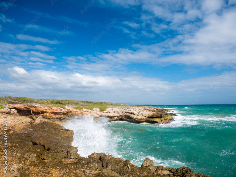 The Caribbean coastline at Guanica Dry Forest Reserve - Puerto Rico