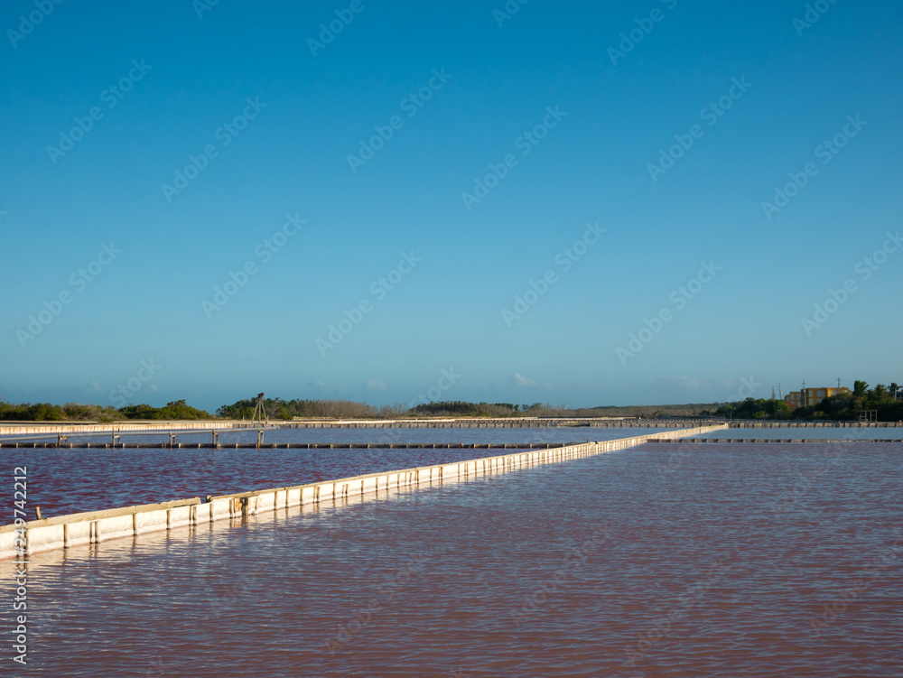 In Puerto Rico’s southwest corner, Cabo Rojo, tons of salt are extracted from seawater annually. In Puerto Rico’s southwest corner, Cabo Rojo, tons of salt are extracted from seawater annually.