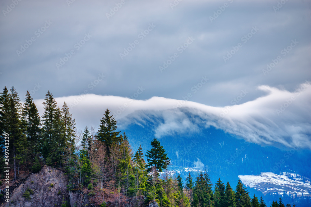 Springtime landscape