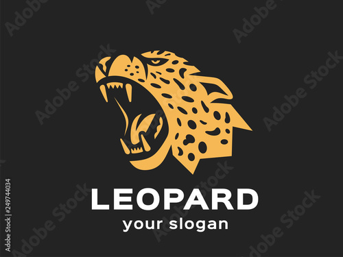 Leopard logo. Vector format, available for editing. Gold version. Dark background.