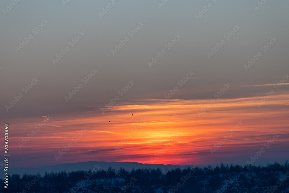 Fototapeta premium Sky