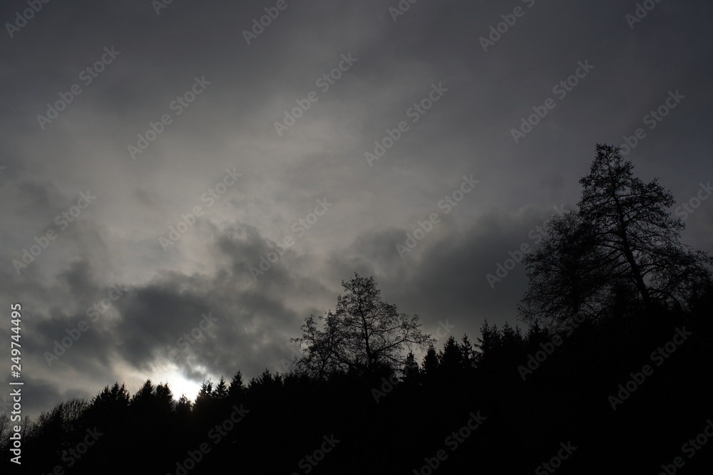 Gloomy landscapes with dark trees photographed on a murky stormy winter afternoon in Germany