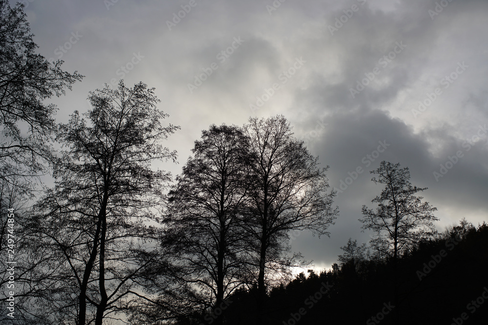Gloomy landscapes with dark trees photographed on a murky stormy winter afternoon in Germany Gloomy landscapes with dark trees photographed on a murky stormy winter afternoon in Germany