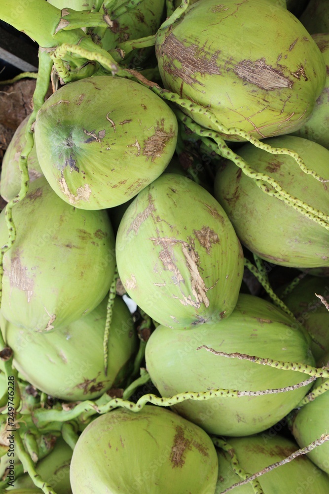 Coconut fruit is delicious at street food Coconut fruit is delicious at street food