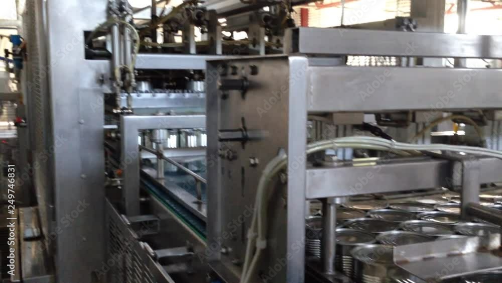 Working process of the production of green peas on cannery. Ripe green peas washing in water before preservation. Movement on the conveyor. Working process of the production of green peas on cannery. Ripe green peas washing in water before preservation. Movement on the conveyor.