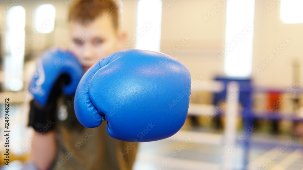 Blue glovers on the young boxer on the ring Blue glovers on the young boxer on the ring