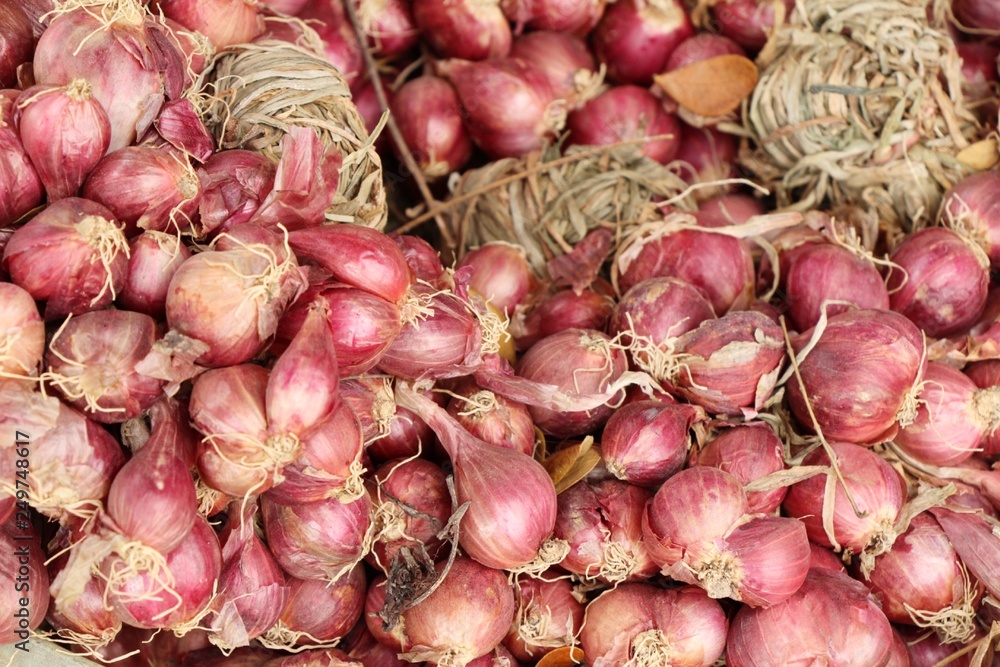 Onions and shallots for cooking at market Onions and shallots for cooking at market