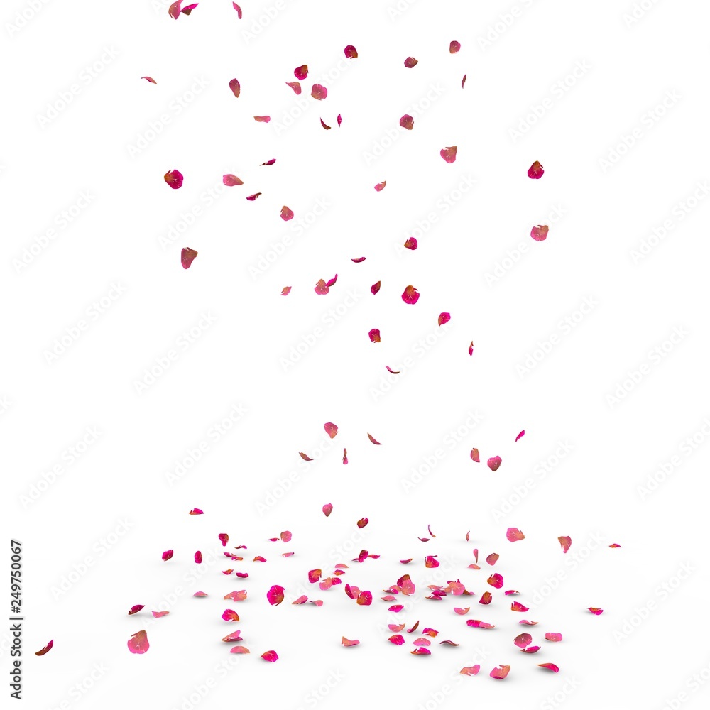 Small rose petals fly and fall to the floor