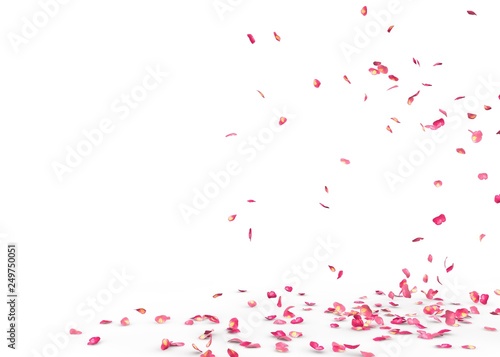 Small rose petals fly and fall to the floor © injenerker