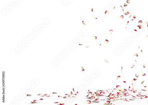Wallpaper Mural Small rose petals fly and fall to the floor Torontodigital.ca