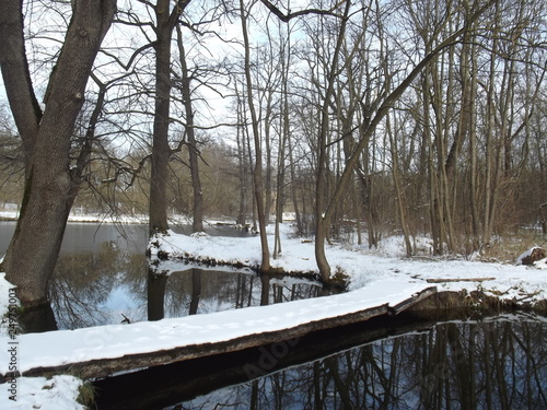 Lake in winter near Tengelic, Hungary photo