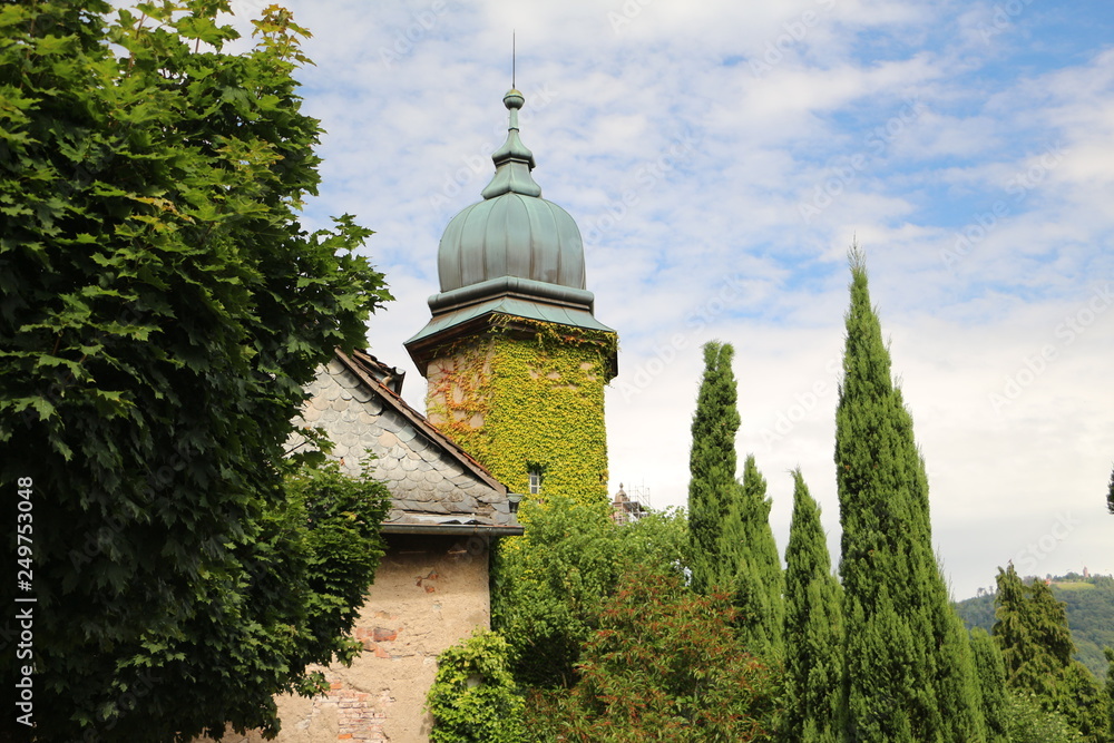 ivy overgrown church tower