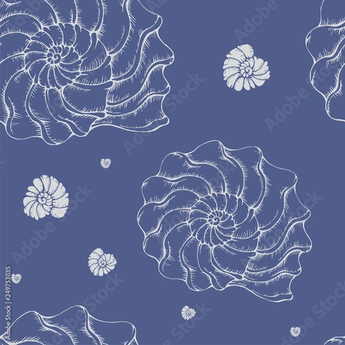 shell_pattern_vektor001