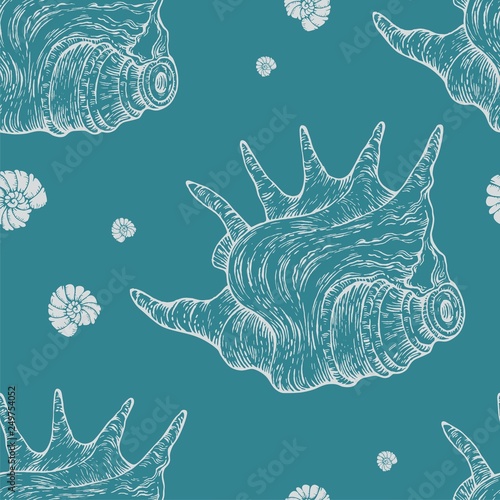 shell_pattern_vektor003