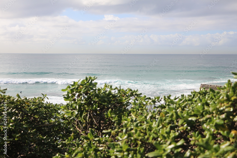 bondi beach in summer