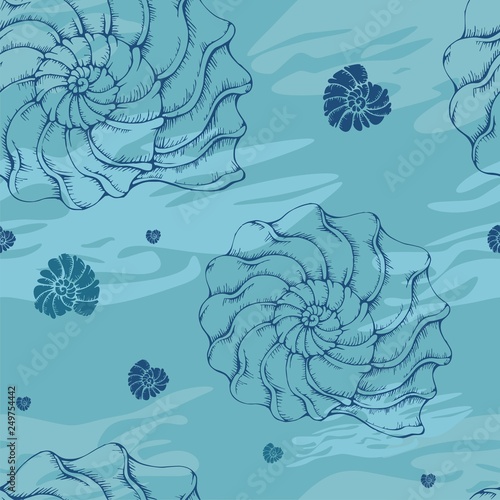 shell_pattern_vektor011