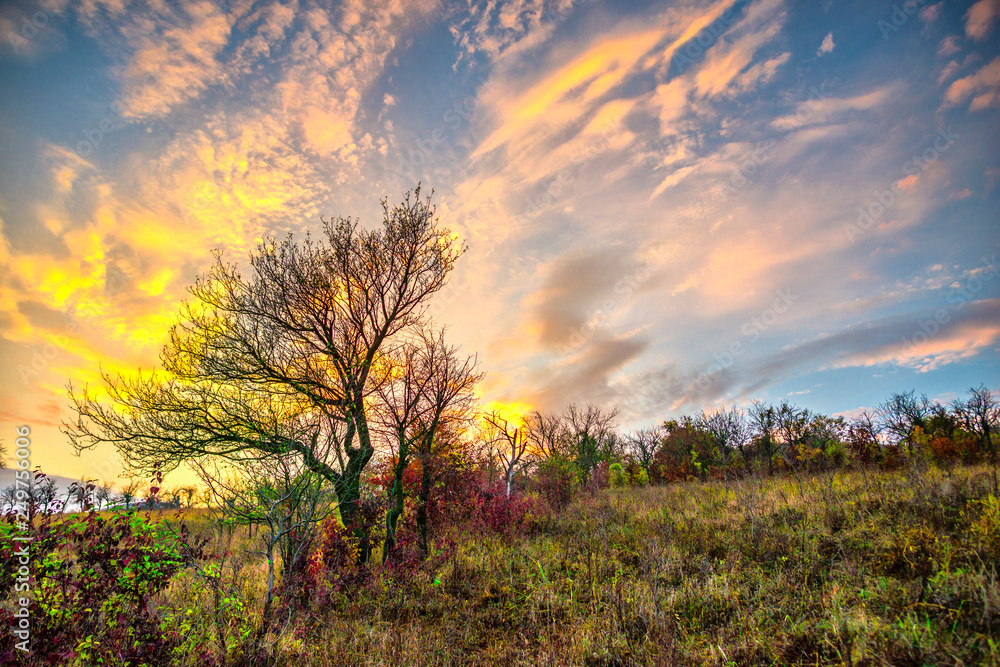 Autumn landscape at the sunset