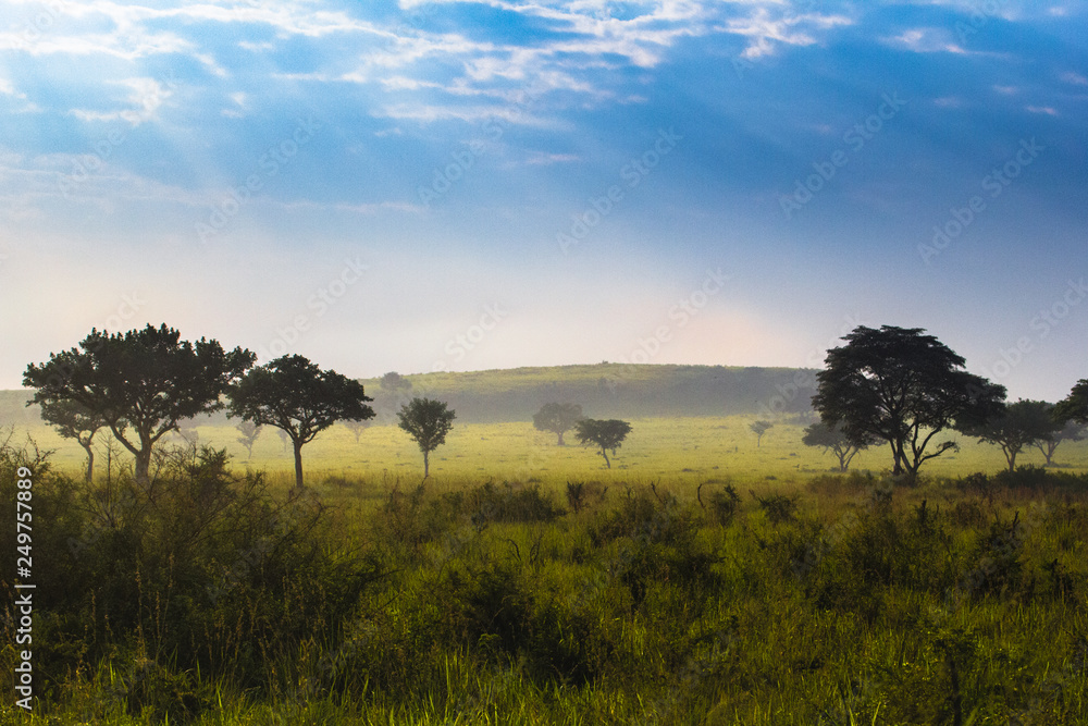 Uganda landscape scenery
