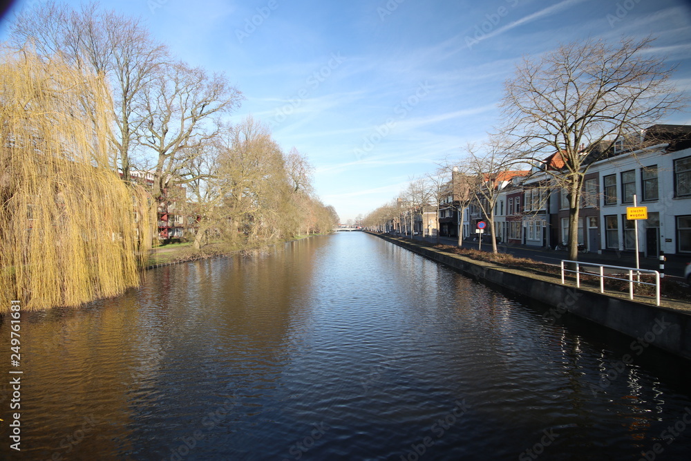 Fluwelensingel with the canal and a weeping willow without leaves in the winter in Gouda, the Netherlands