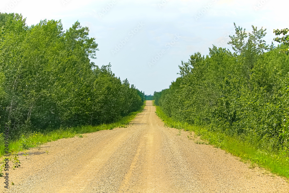 Fototapeta premium A long straight gravel road in the summer