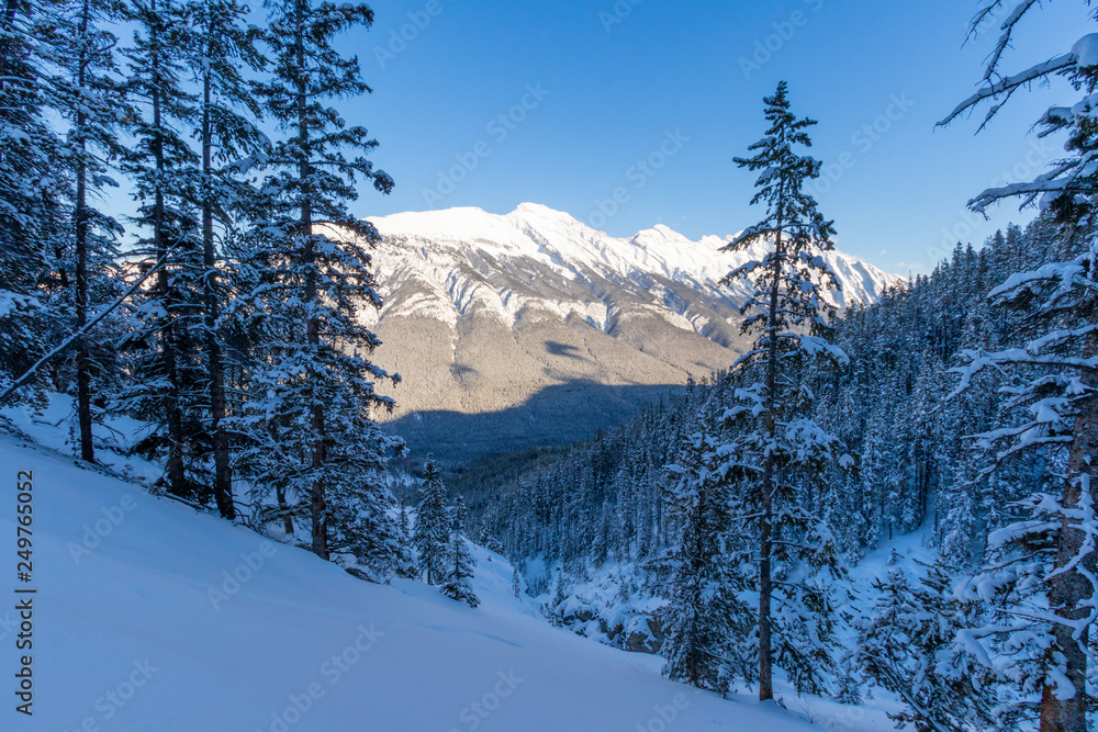 Fototapeta premium The Banff Sightseeing Gondola is located just 5 minutes from the Town of Banff, on the shoulder of Sulphur Mountain, in the heart of the Canadian Rockies