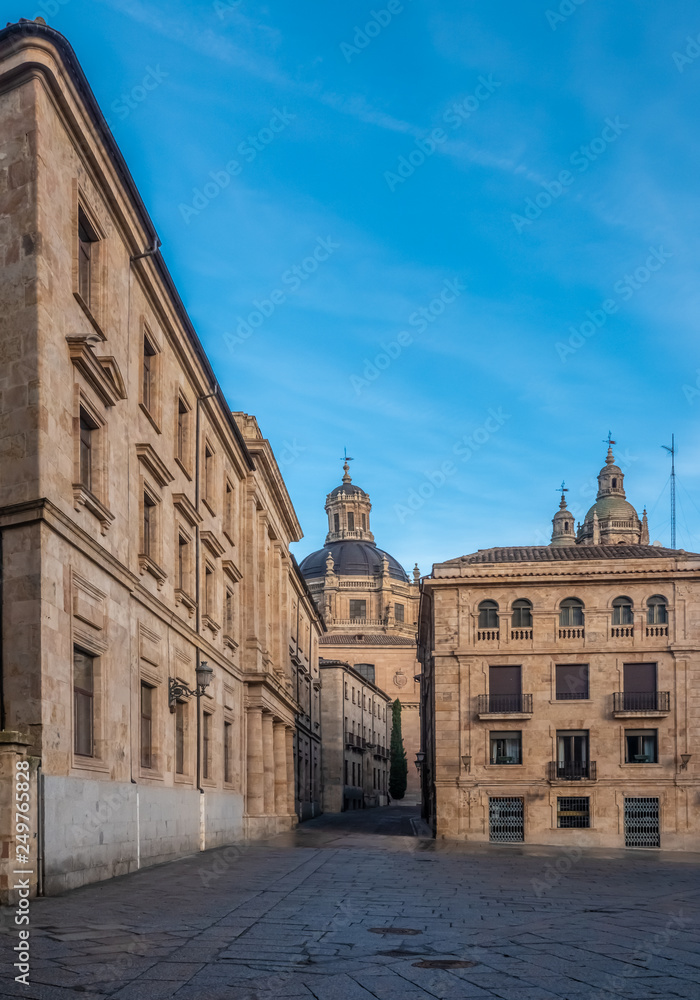 The University of Salamanca, Castile and León, Spain. Founded in 1134 it is the oldest university in the Hispanic world and the third oldest university in the entire world still in operation.
