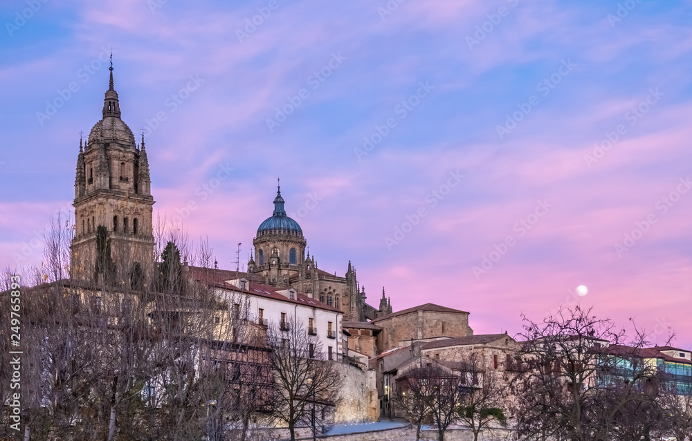 The joined cathedrals of Salamanca (Old and New Cathedral), Castile-Leon, Spain. The old cathedral (12-14 c. centuries -Romanesque and Gothic). New Cathedral (16-18 c. ^ate Gothic and Baroque)
