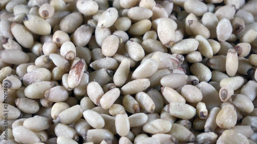 Organic pine nuts close up spinning video