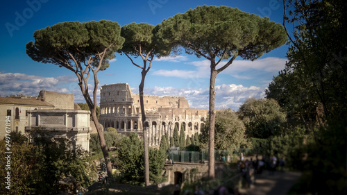 Canvas Print View of Roman Colosseum Through Trees in Rome, Italy, people blurred