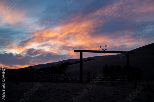Sunrise over a ranch gate with a set of antlers in Montana, USA.