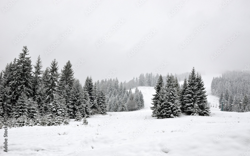 Fototapeta premium snowy mountains Karpaty in winter morning light. Pylypets, Ukraine