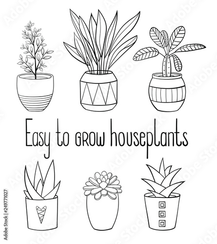 Set of different easy to grow house plants in planters with a  handwriting caption. Vector outline illustration drawings on a white background. 