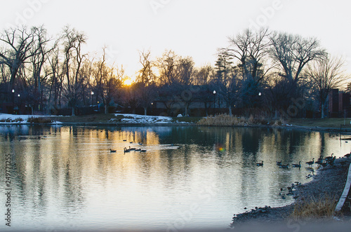 A wide view of the cool calm city park lake in the cold winter lake in the utah city park. 