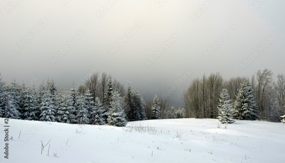 snowy mountains Karpaty in winter morning light. Pylypets, Ukraine snowy mountains Karpaty in winter morning light. Pylypets, Ukraine