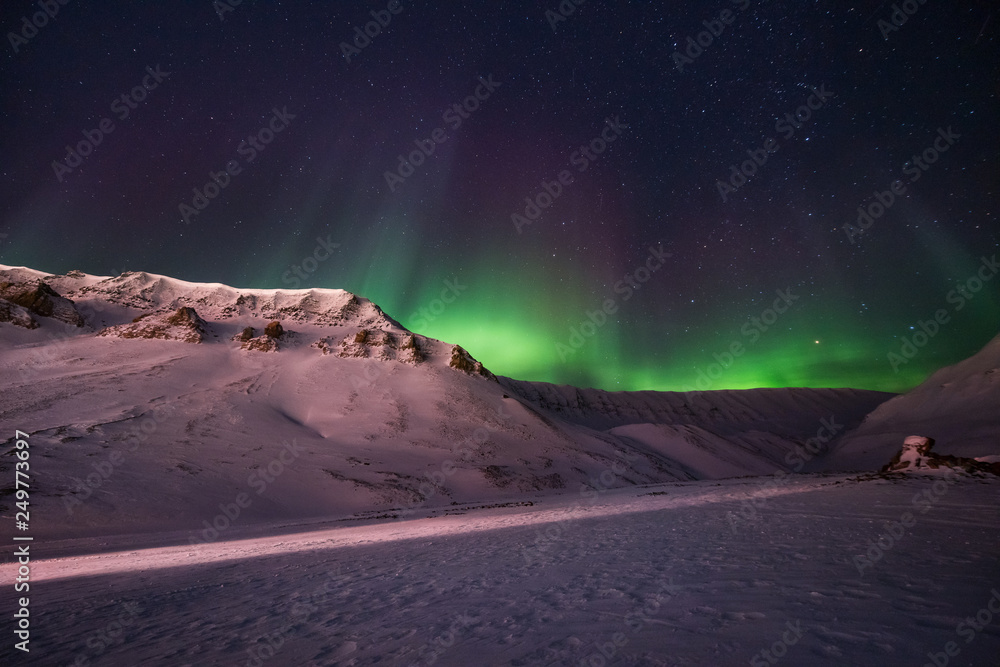 Obraz premium The polar arctic Northern lights aurora borealis sky star in Norway travel Svalbard in Longyearbyen city the moon mountains