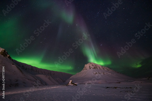 The polar arctic Northern lights aurora borealis sky star in Norway travel Svalbard in Longyearbyen city the moon mountains © bublik_polina