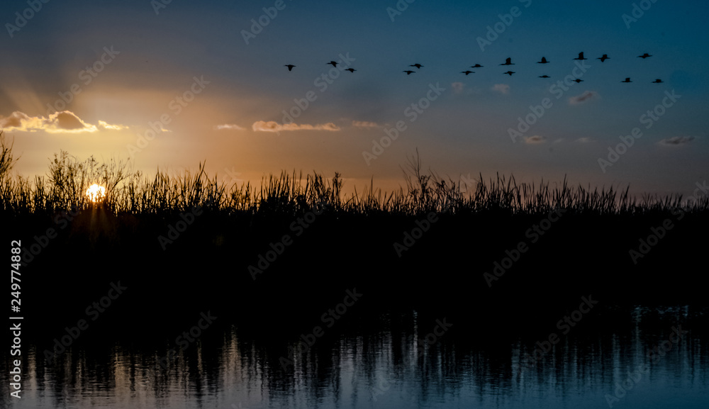 Sunset, Loxahatchee Wildlife Refuge