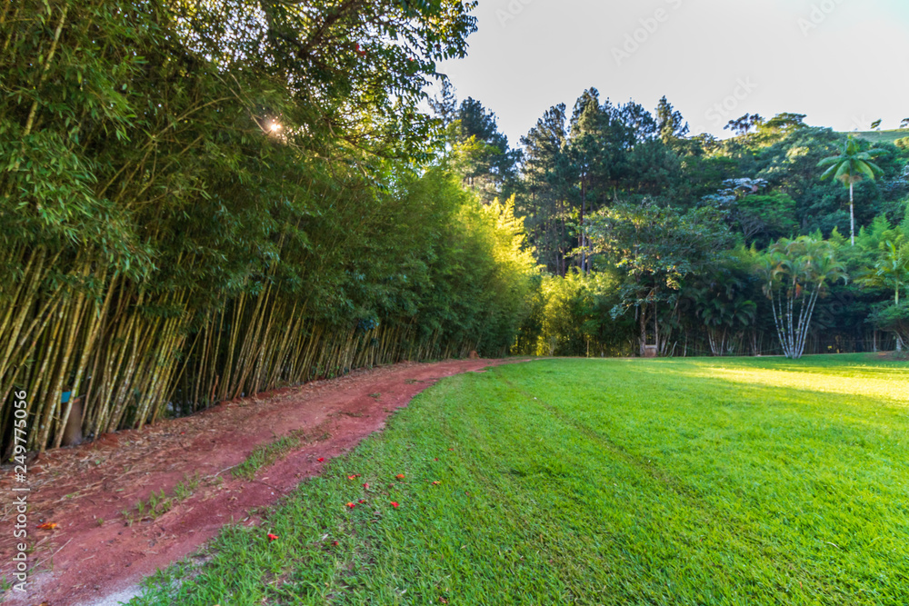 Obraz premium road in countryside at dusk with sunset light