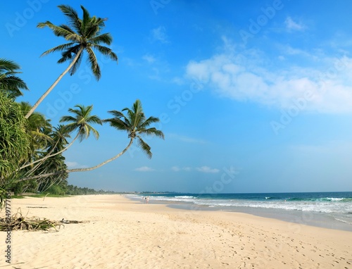 Fototapeta Naklejka Na Ścianę i Meble -  tropical beach with palm trees Sri Lanka 
