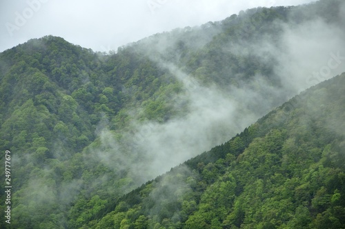 雲晴れる新緑の山