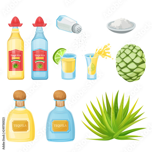 Tequila bottles, shot glass, agave root, vector illustration. Mexican alcohol drinks and cocktails menu design elements.