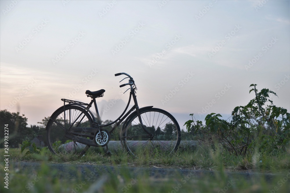 Old bicycle in the rice fields