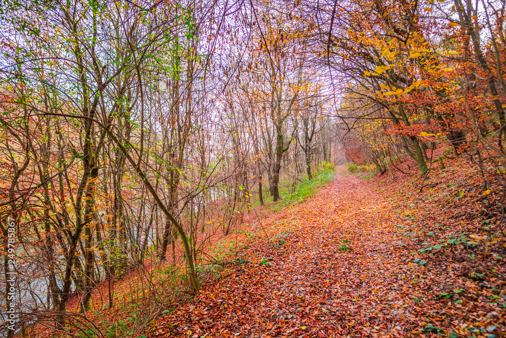 Autumn landscape